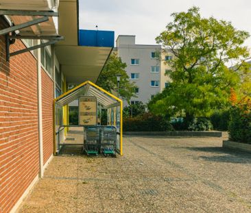 Demnächst frei! 3-Zimmer-Wohnung in Neustadt an der Weinstraße - Photo 1