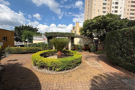 REMAX Aluga Apartamento de 3 Quartos, 1 Suítes, 2 Vagas Cobertas - Mansões Santo Antônio, Campinas/SP - R$3500,00 - Photo 2