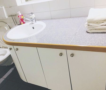 2-ROOM APARTMENT IN BASEL - WETTSTEIN, FURNISHED, TEMPORARY - Photo 5