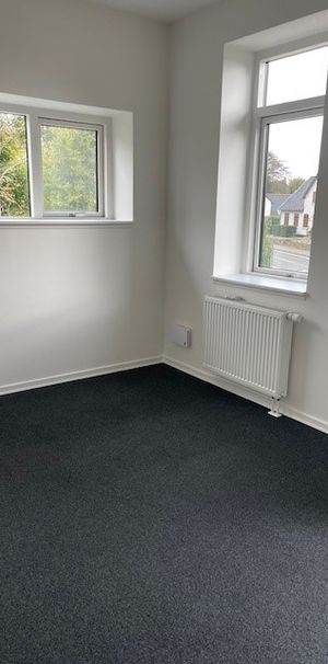 Dejlig 1-værelses lejemål i Ringe - Foto 1