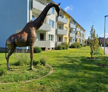 Hier wird umgebaut! Sanierte 3-Zimmer-Wohnung mit Balkon - Foto 1