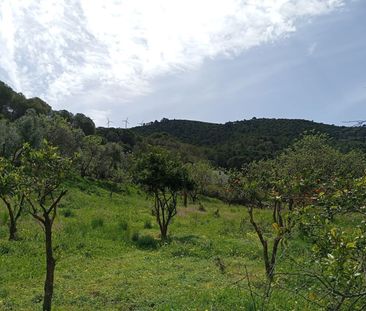 Alquiler de casa o chalet independiente en Via Sin Nombre Los Guape... - Photo 2