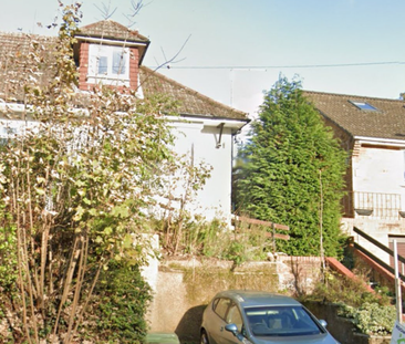Lawn Lane - Photo 1