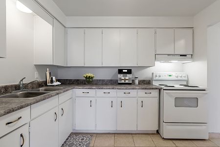 One Bedroom Apartment - Photo 4