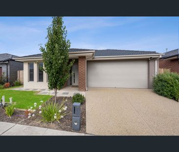 11 Mollyan Avenue, Charlemont, Vic 3217 - Photo 1