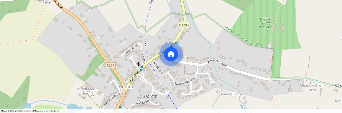Vines Cross Road, Horam, Heathfield TN21 0HD