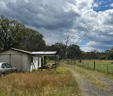 Spacious 4 Acres of Fenced Land - Ideal for Animals & Vehicle Parking - Photo 3