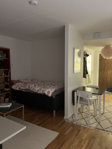 Skillingmyntsgatan, Göteborg - Photo 2