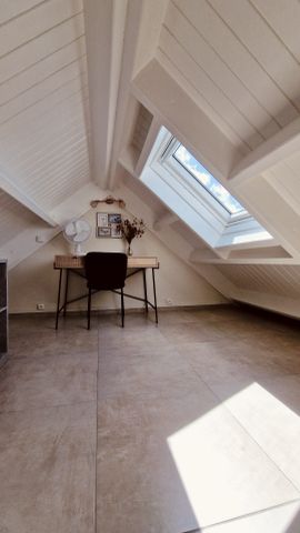 Appartement meublé proche mer à Saint-Anne - Photo 4