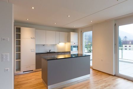 Attika-Wohnung mit viel Platz! - Foto 3