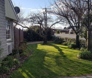 Sunny 3BR Home with garden! - Photo 2