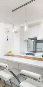 Renovated Furnished Apartment with Parking - Photo 3