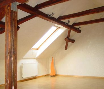 Dresden Bühlau, Apartment mit Blick über die Bäume - Foto 1