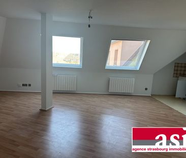 Grand 1 pièce, robertsau - Photo 1