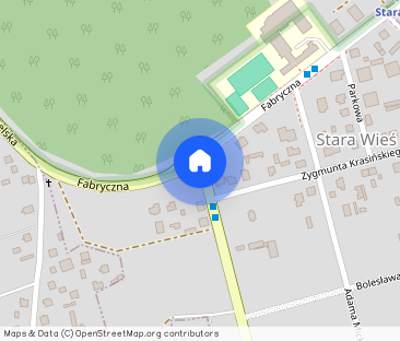 2-pokojowe mieszkanie, blisko PKP Stara Wieś - Zdjęcie 1