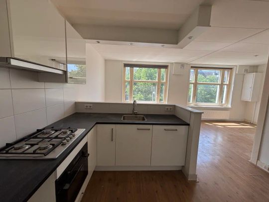 Linnaeusstraat 217 2 - Photo 1