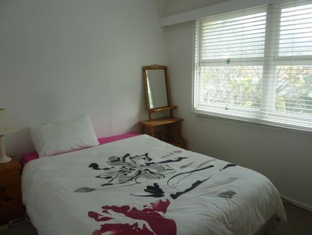 2-bedroom shared studio/granny flat, fenton place - Photo 5