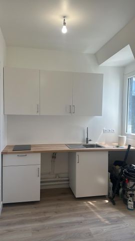 Magnifique studio 16m² sous les toits - Photo 3