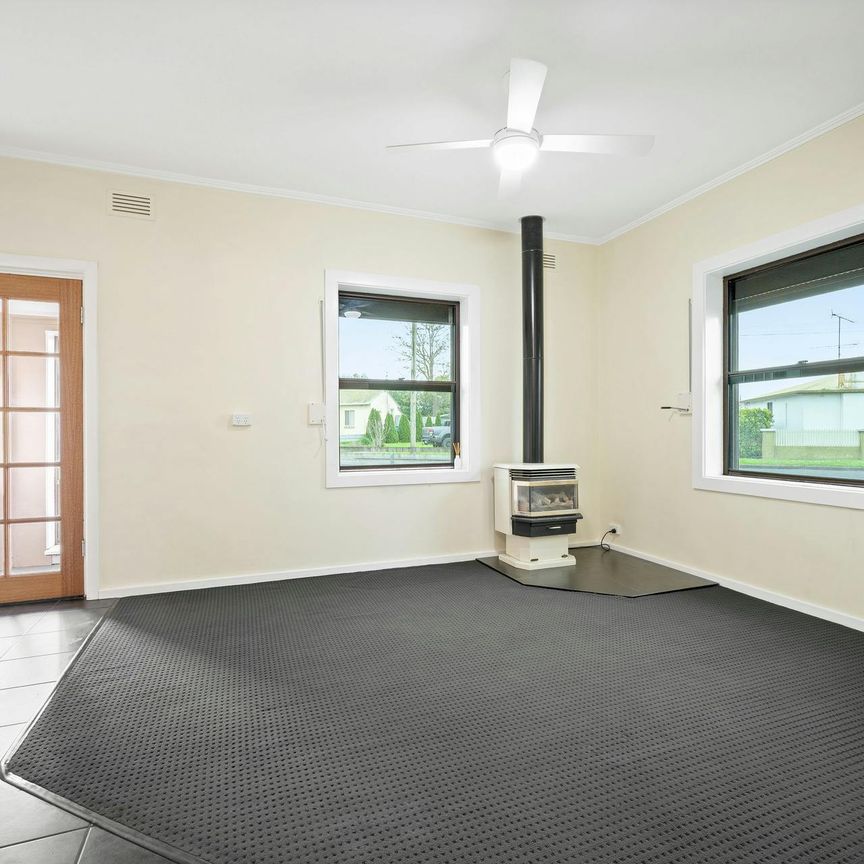 Family Living with Shedding Galore - Photo 1