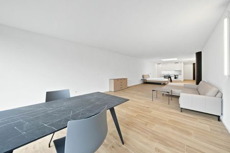 1.5 Zimmer, 87 m², 1. Stock - Photo 4