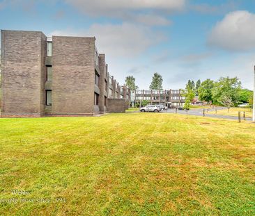 Parklands Gardens, Walsall - Photo 3