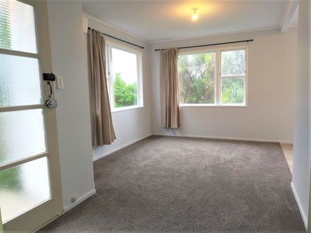 One Bedroom Johnsonville Flat For Rent - Photo 3