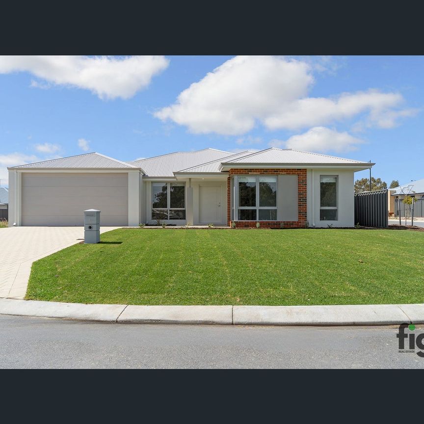 3/8 Fortini Ct, Hamilton Hill, WA 6163 - Photo 1