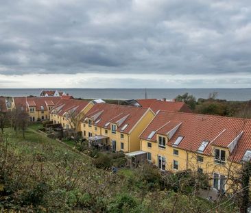 Afd. 19 - Løgstør Boligforening - Photo 1