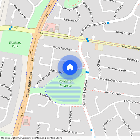 52 Althorpe Drive, NSW 2168, Green Valley