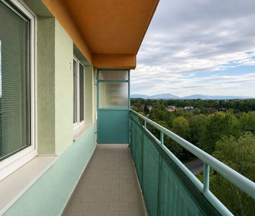 Pronájem bytu 2+1 40 m² - Fotografie 4