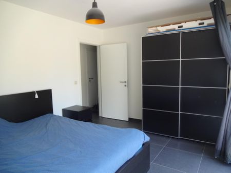 - Stekene – Gezellig gelijkvloers appartement in centrum - Foto 3