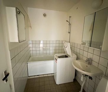 Ekbacken, Asarum - Foto 6