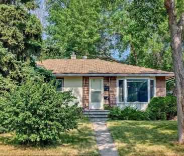 Spacious and Bright 2 Bedroom Basement with Separate Entrance in Hi... - Photo 1