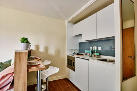 Deluxe Accessible Studio - Photo 4