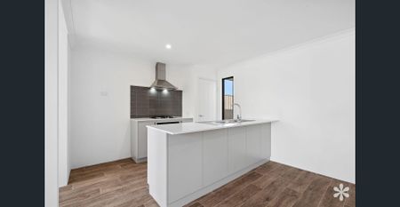 Park Views - Photo 3