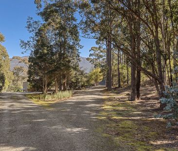 32 Bramble Street, Ridgeway TAS 7054 - House For Rent | Domain - Photo 2