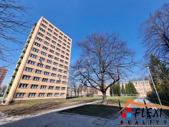 Pronájem bytu 2+1 56 m² - Photo 1