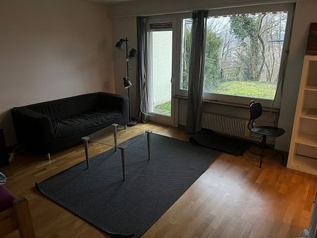 Locataires subséquents pour de beaux volumes 1.5 À la recherche d'une chambre à Höngg. - Photo 4