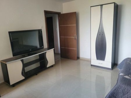 Gara de Nord, Bd. Dinicu Golescu, renovata, ac, tv - Photo 3