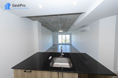 40 Cardinal Maurice-Roy – Le Lièvre - Photo 5