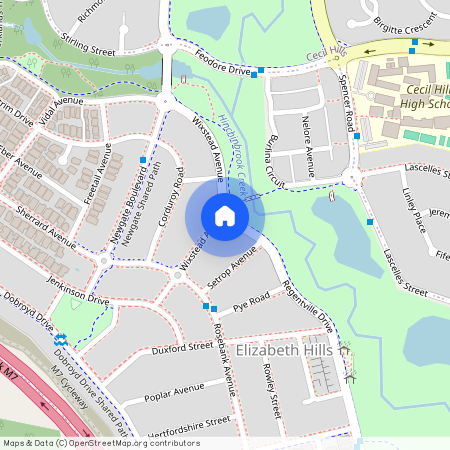 1 Regentville Drive, NSW 2171, Elizabeth Hills