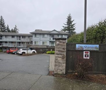 3 bedroom,1 bathroom - Photo 3