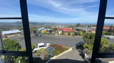 Sunny on Strode - Photo 5