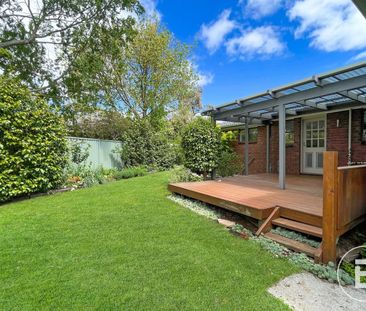 SPACIOUS FAMILY LIVING IN POPULAR ALFREDTON - Photo 4