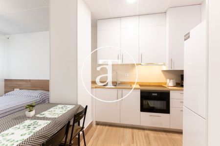 Monthly rental studio with 1 bedroom and 1 bathroom in Latina with direct access to parks and green areas - Photo 4