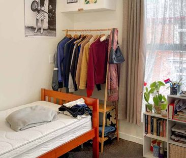 Apartment Living in Aro Valley - Photo 3