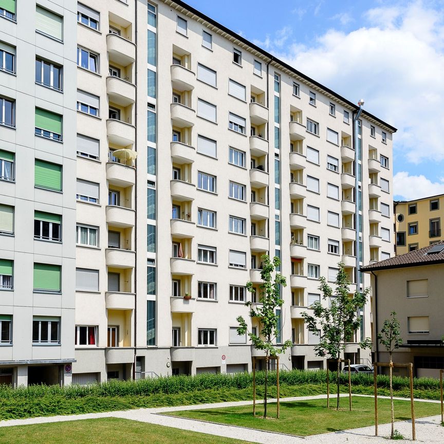 Logement proche de l’université – CDD jusqu’au 31.03.2028 - Photo 2