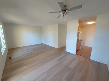 3 Bedroom 1.5 Bathroom Unit in Oriole Park - Photo 2