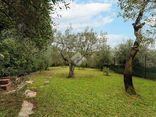 5 locali in affitto - Photo 1