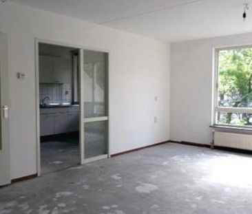 Adriaen van der Doeslaan 0ong, 3054 Rotterdam, Nederland - Photo 3